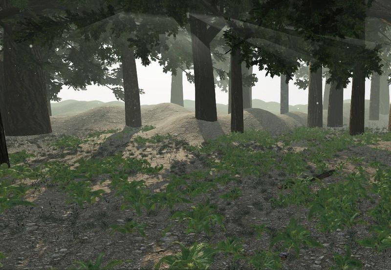 A sunlit 3D forest with ferns and light shafts through the trees